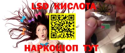 крисы Новокубанск
