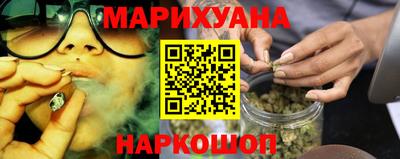 гидра Новодвинск