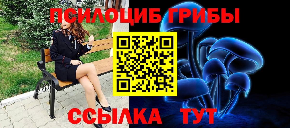 Псилоцибиновые грибы прущие грибы Туймазы