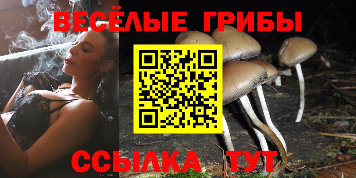 Туймазы  Галлюциногенные грибы Psilocybe  Вход с VPN 